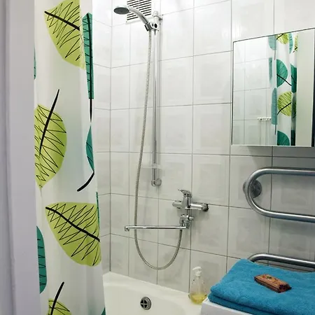 Giedres Apartamento Kaunas